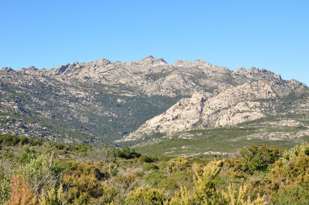 贝尔基达Sardegna Vicino Ad Olbia "La Casa Nel Vicolo"别墅 外观 照片