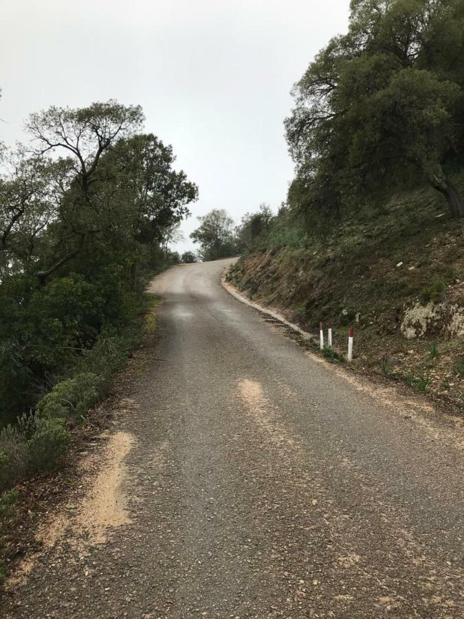 贝尔基达Sardegna Vicino Ad Olbia "La Casa Nel Vicolo"别墅 外观 照片