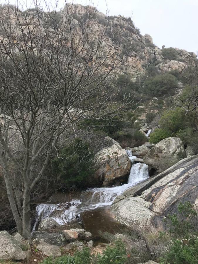 贝尔基达Sardegna Vicino Ad Olbia "La Casa Nel Vicolo"别墅 外观 照片