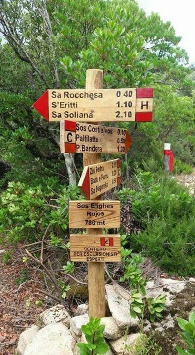 贝尔基达Sardegna Vicino Ad Olbia "La Casa Nel Vicolo"别墅 外观 照片