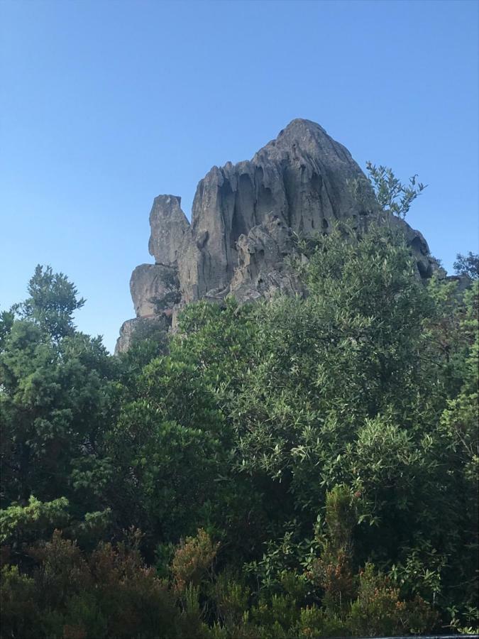 贝尔基达Sardegna Vicino Ad Olbia "La Casa Nel Vicolo"别墅 外观 照片