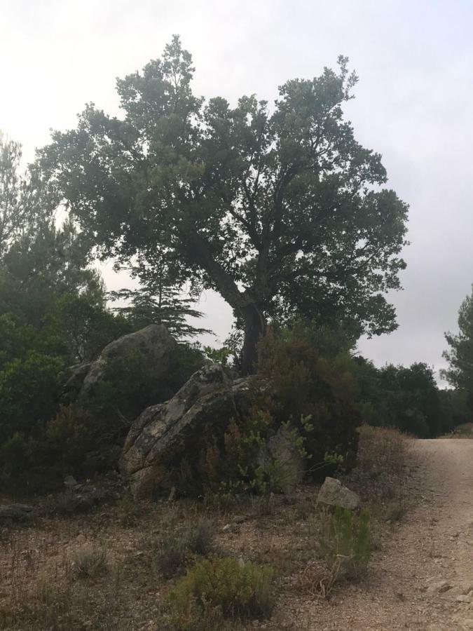 贝尔基达Sardegna Vicino Ad Olbia "La Casa Nel Vicolo"别墅 外观 照片